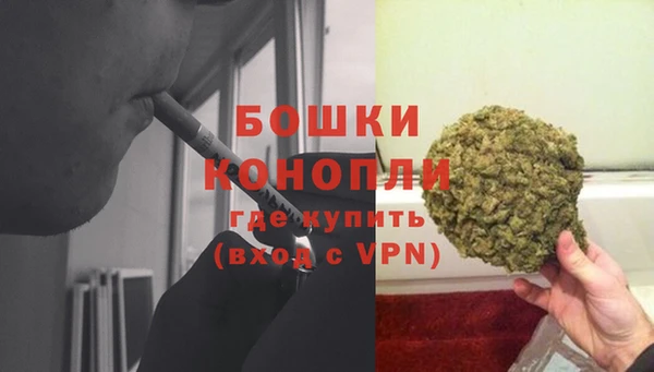 ГАЛЛЮЦИНОГЕННЫЕ ГРИБЫ Богородицк