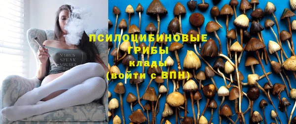 mdpv Богданович