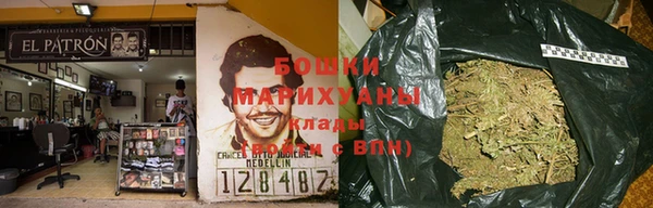 mdpv Богданович