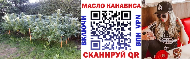 где можно купить Киржач ТГК Wax