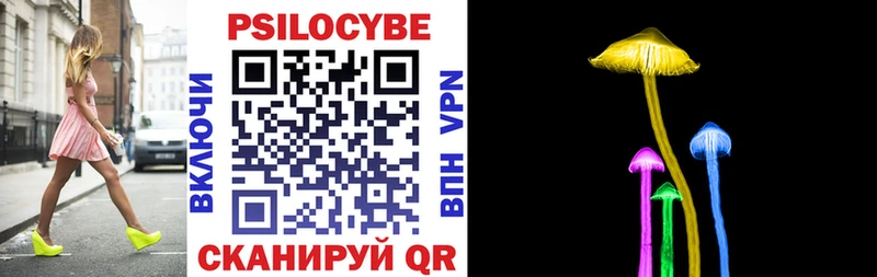 Галлюциногенные грибы Psilocybe  мориарти как зайти  Киржач 
